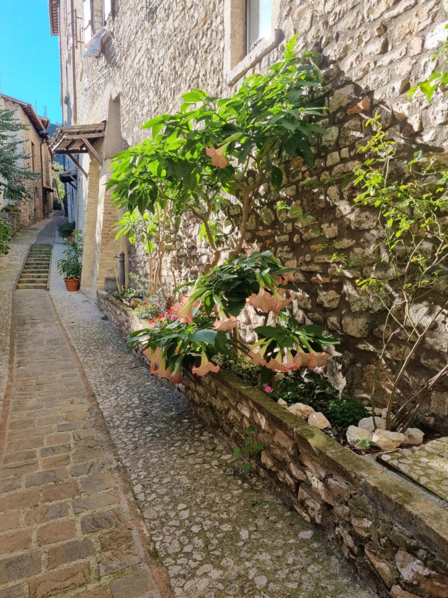 Cuore Del Castello Arrone Exterior foto
